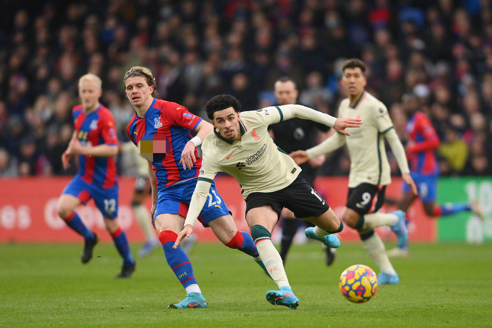 葡体的表现 葡体的表现