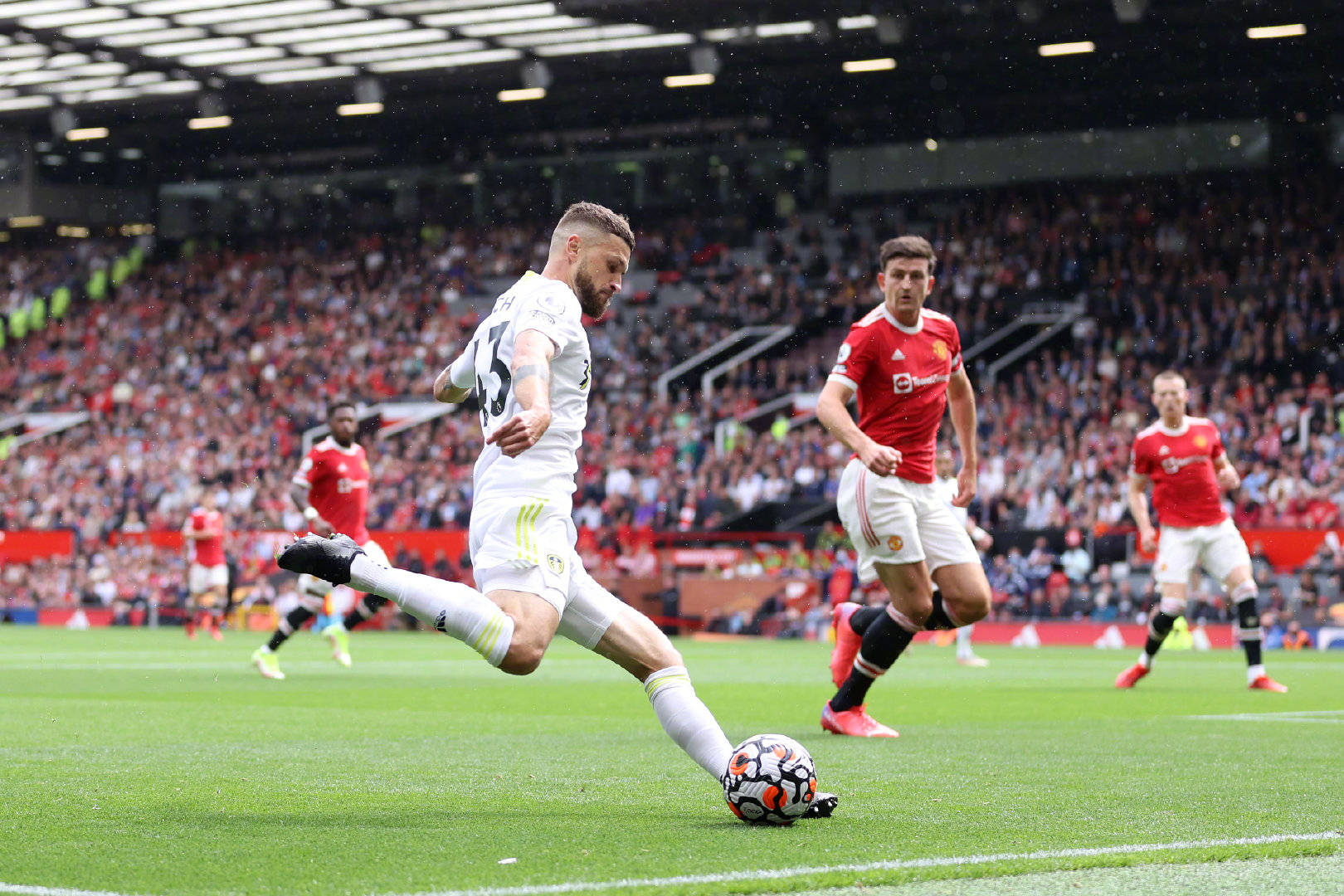 父母在这个 父母在这个