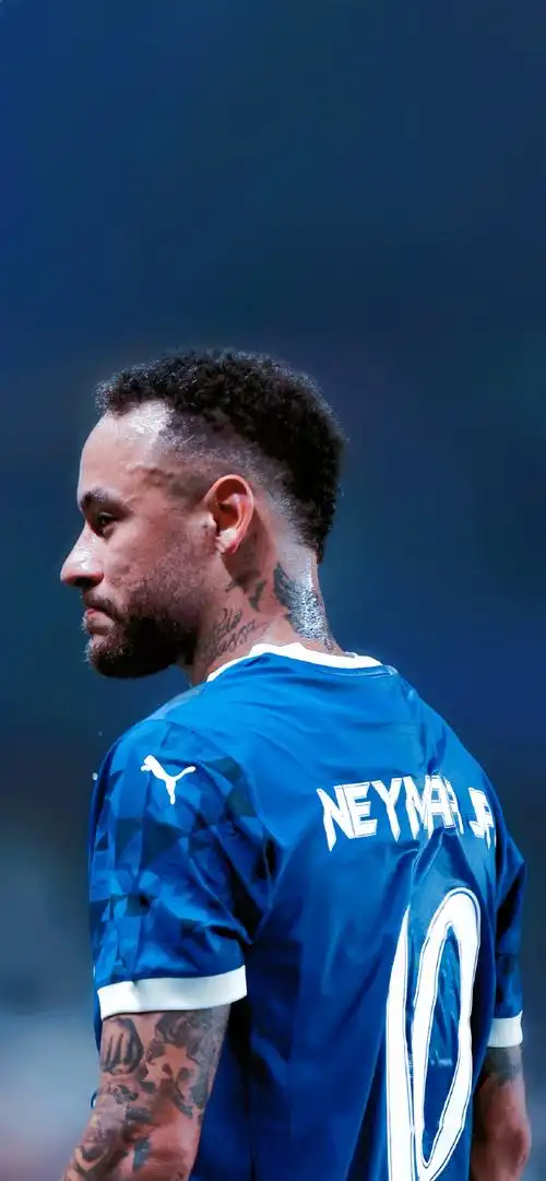 密的战术布 密的战术布